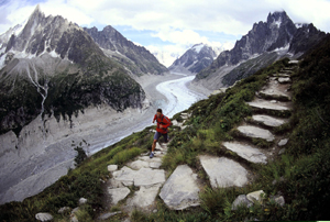 � ��������� ����� 8 � 15 ��������, ��������� �� ��� ���������� �� Discovery Networks �������� �� �������� ��� � �������� ��������� �� ����������� ������� �� Discovery Channel �� 2011. �����������